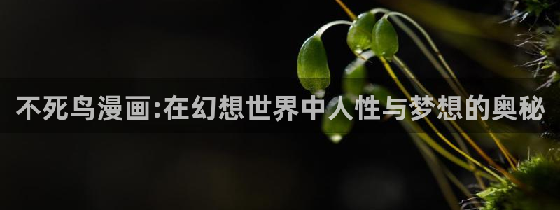 韩漫网站大全