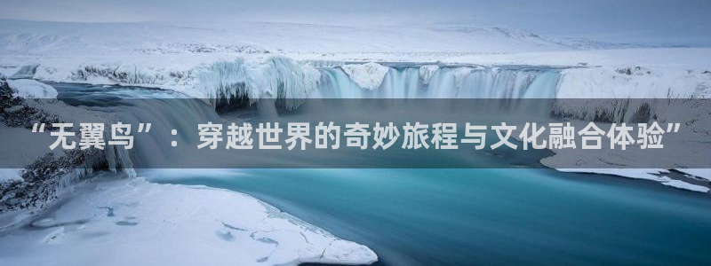 韩漫网在线阅读：“无翼鸟”：穿越世界的奇妙旅程与文化融合体验”