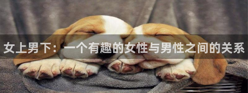 韩漫画app哪款最好