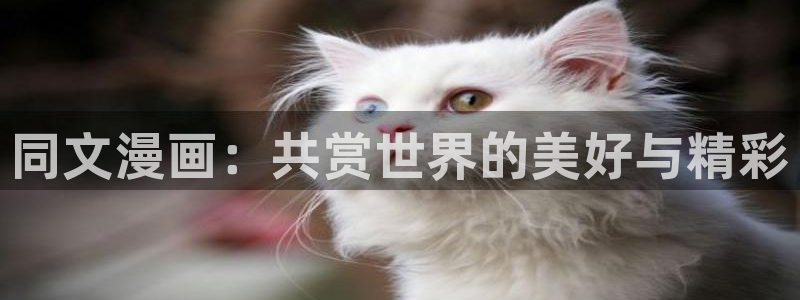韩漫2在线观看