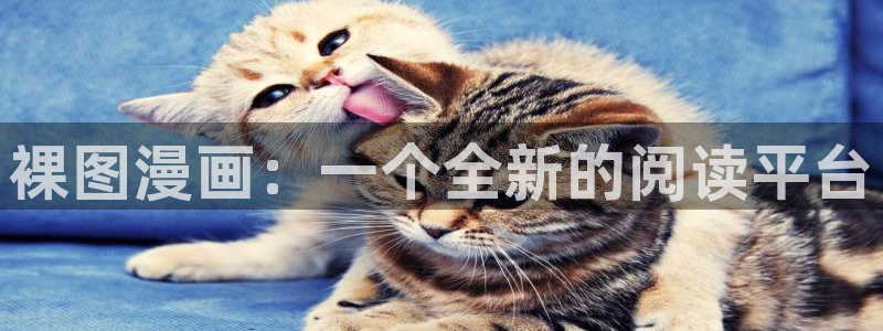 久久韩漫漫画
