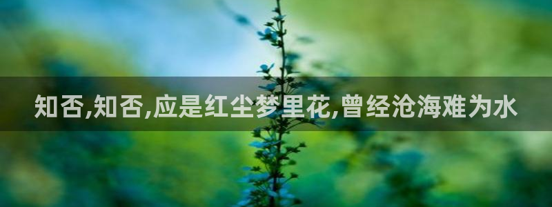 韩漫网站安全