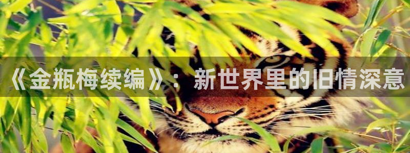 歪歪sss漫画yy韩漫首页