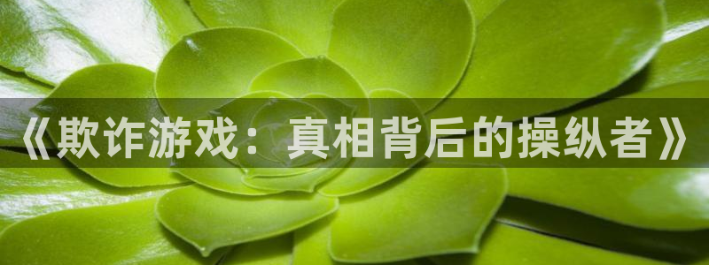 免费看美丽新世界韩漫